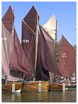 Regatta der historischen Zeesenboote im Ostseebad Dierhagen Regatta der historischen Zeesenboote im Ostseebad Dierhagen
